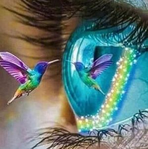 Meet your Posher, Pamela